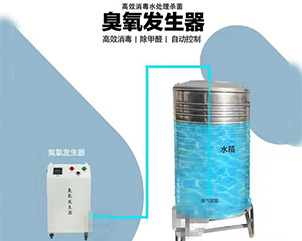 移動(dòng)式臭氧發(fā)生器-03